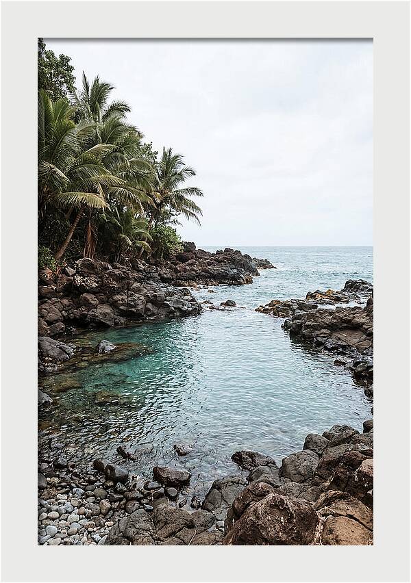 Tropical Paradise Escape