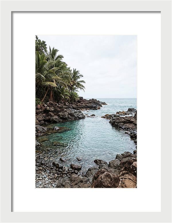 Tropical Paradise Escape