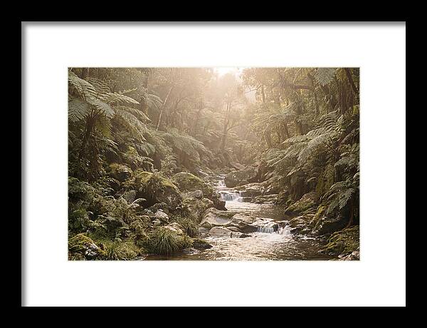 Tropical Ravine Serenity