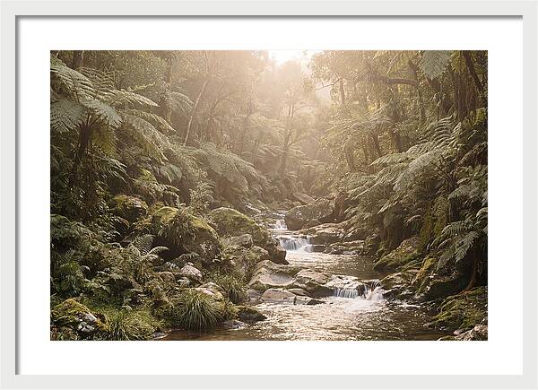 Tropical Ravine Serenity