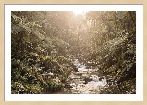Tropical Ravine Serenity