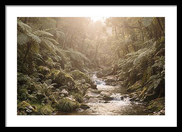 Tropical Ravine Serenity