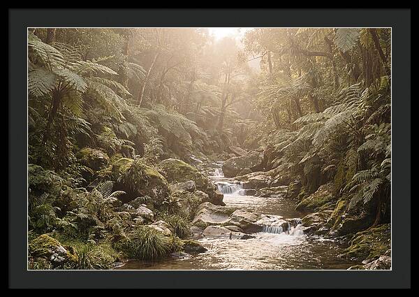 Tropical Ravine Serenity