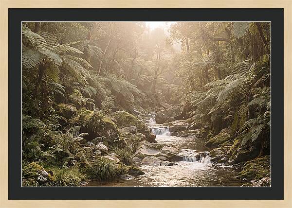 Tropical Ravine Serenity