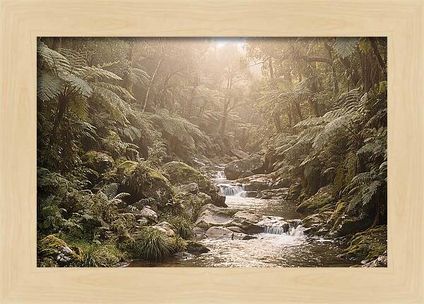 Tropical Ravine Serenity