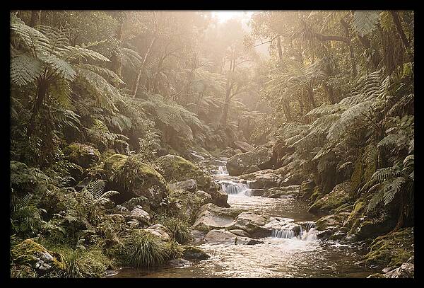 Tropical Ravine Serenity