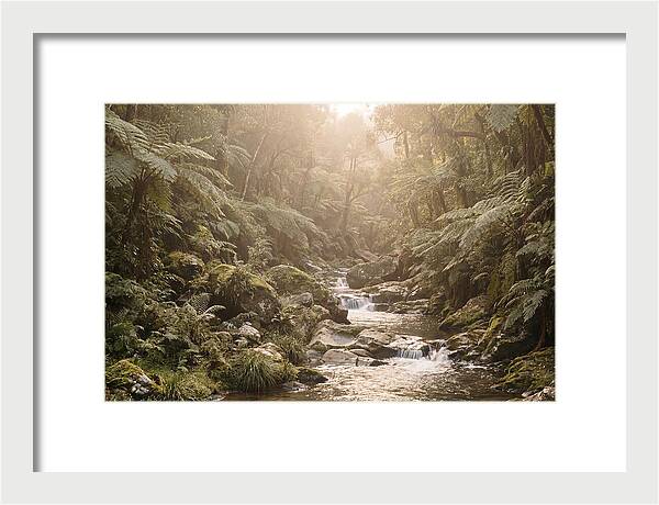 Tropical Ravine Serenity