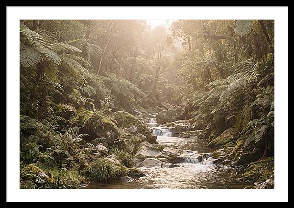 Tropical Ravine Serenity
