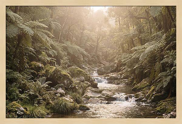 Tropical Ravine Serenity