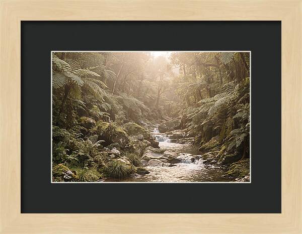 Tropical Ravine Serenity