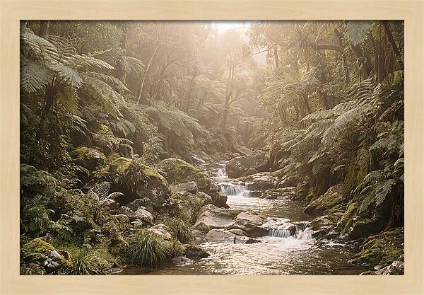 Tropical Ravine Serenity