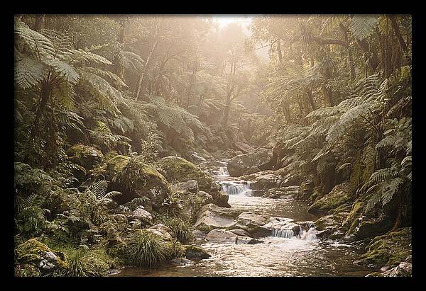 Tropical Ravine Serenity
