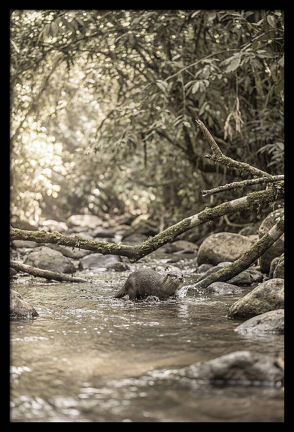 Tropical River Otter Playtime