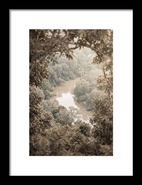 Tropical River Serenity