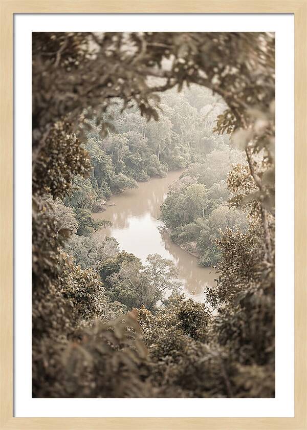 Tropical River Serenity