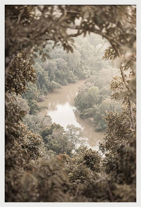 Tropical River Serenity