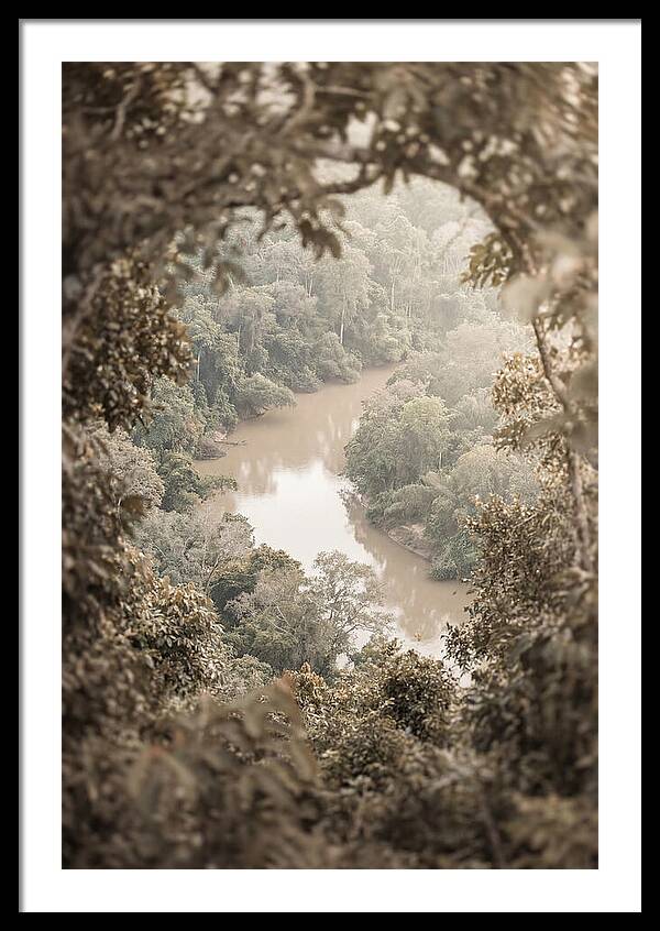 Tropical River Serenity