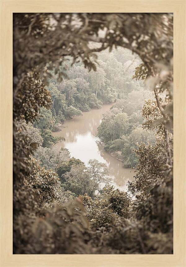 Tropical River Serenity
