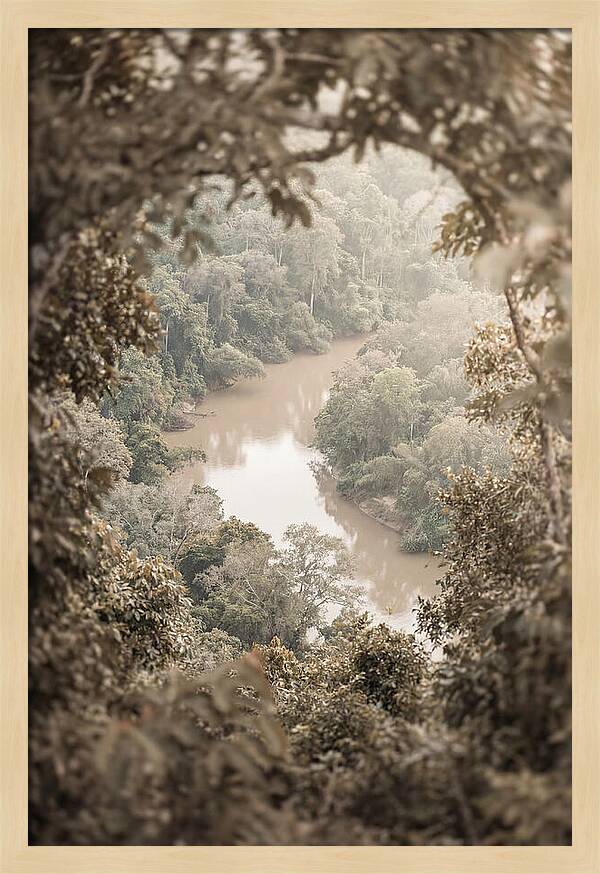 Tropical River Serenity