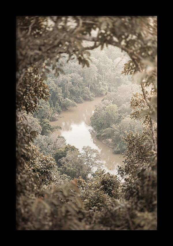 Tropical River Serenity