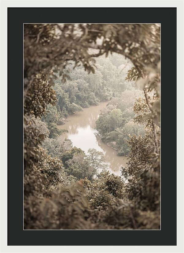 Tropical River Serenity