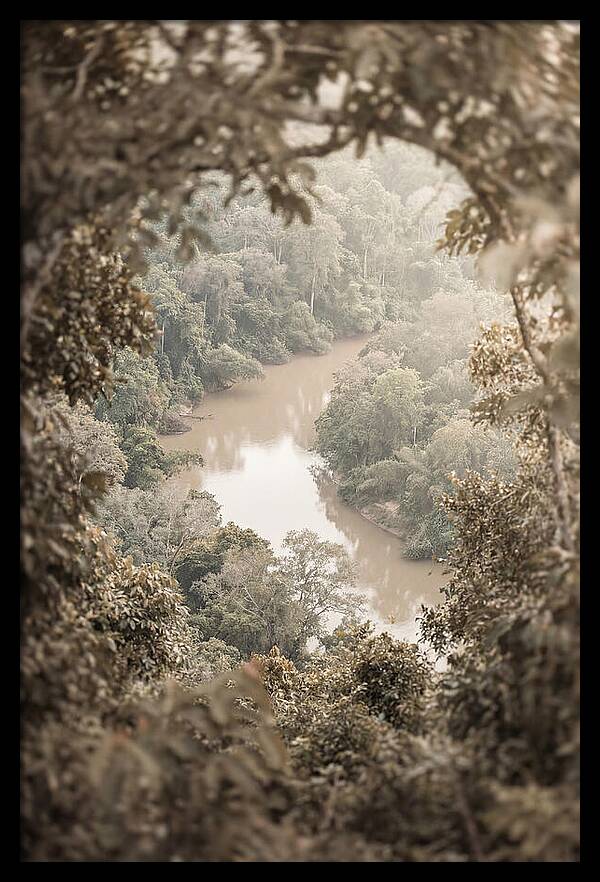 Tropical River Serenity