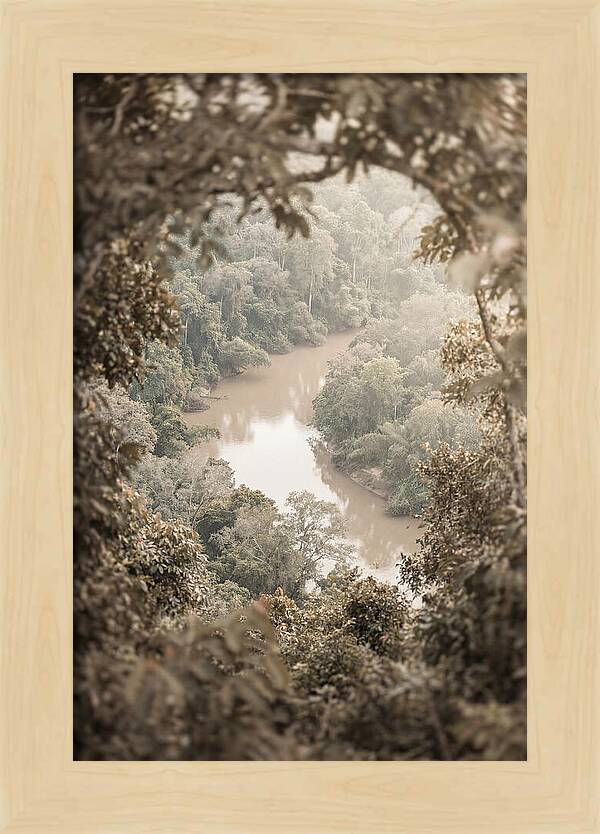 Tropical River Serenity