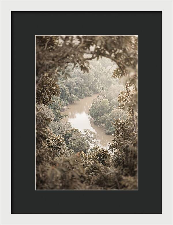 Tropical River Serenity