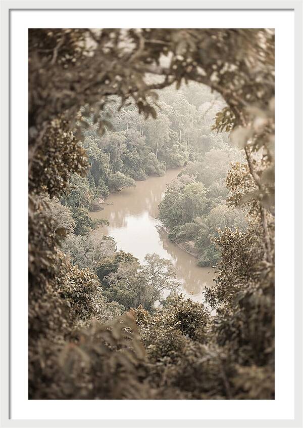 Tropical River Serenity