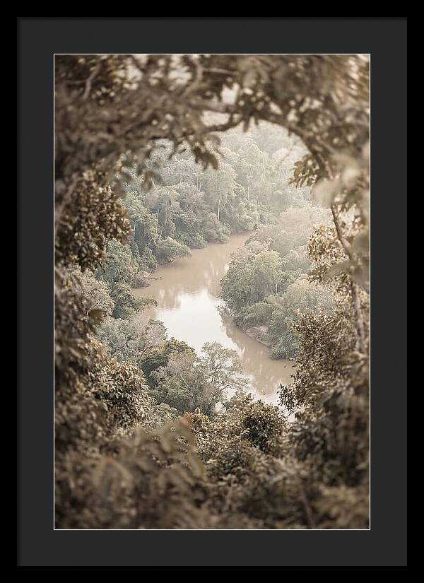 Tropical River Serenity