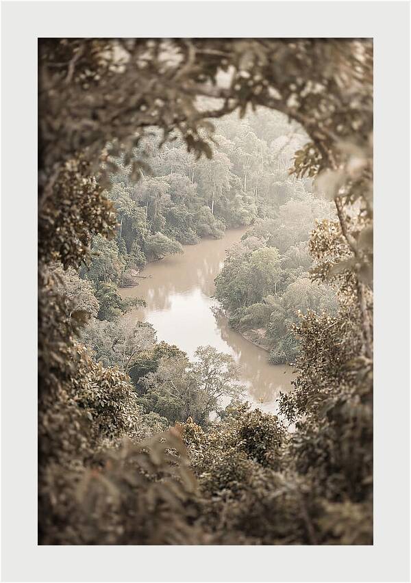 Tropical River Serenity
