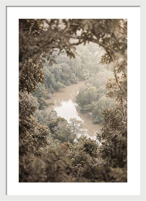 Tropical River Serenity