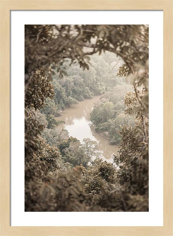 Tropical River Serenity