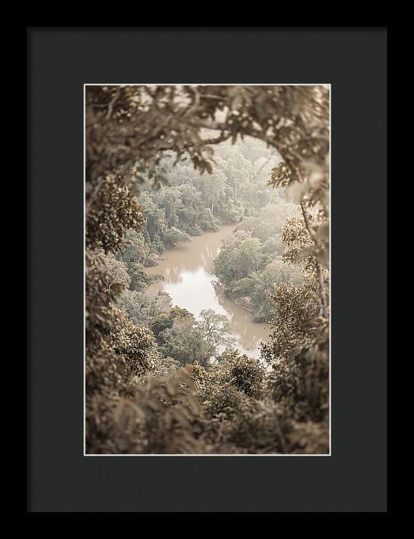 Tropical River Serenity