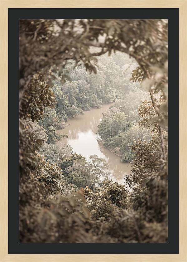 Tropical River Serenity