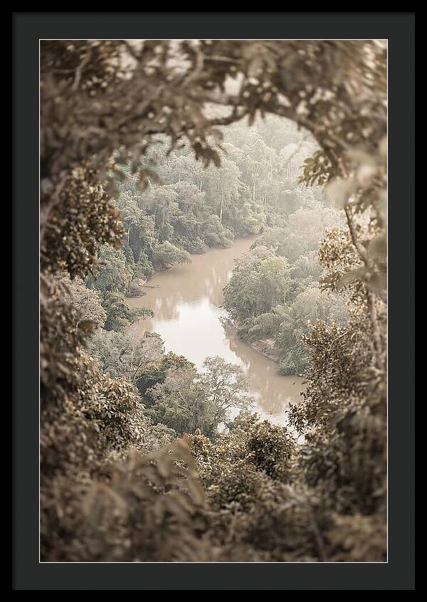 Tropical River Serenity