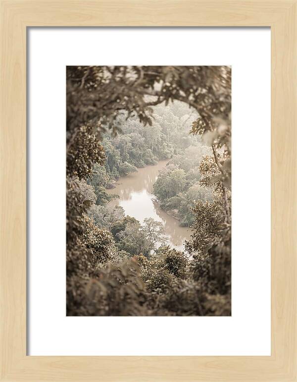 Tropical River Serenity