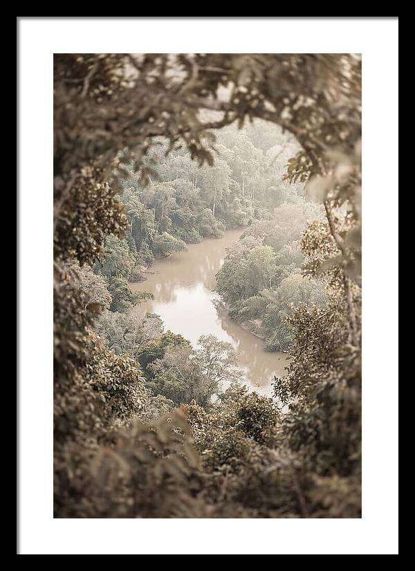 Tropical River Serenity