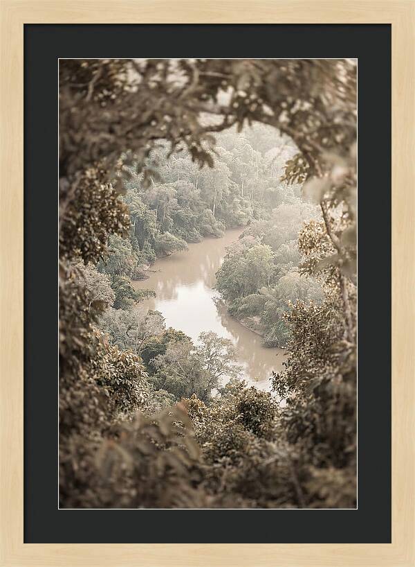 Tropical River Serenity