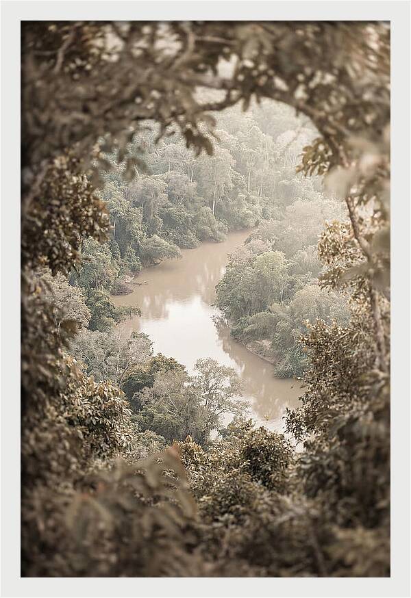Tropical River Serenity