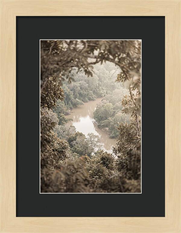 Tropical River Serenity