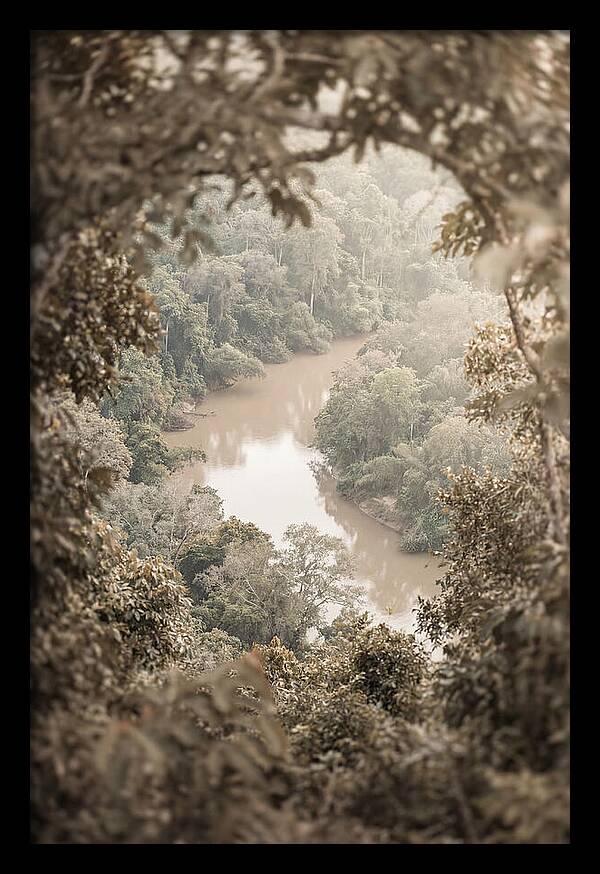 Tropical River Serenity