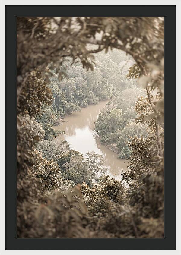 Tropical River Serenity