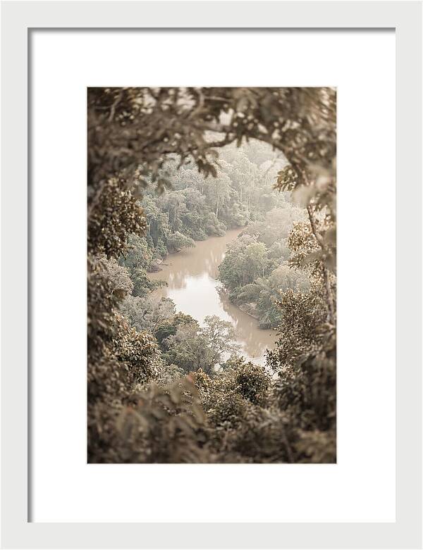 Tropical River Serenity