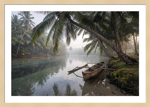 Tropical Serenity At Dawn