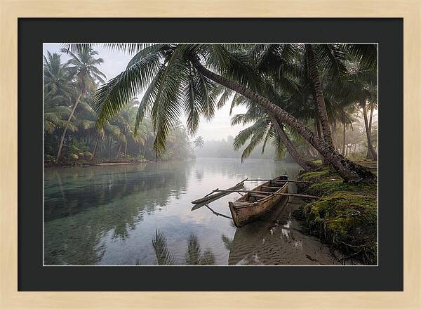 Tropical Serenity At Dawn