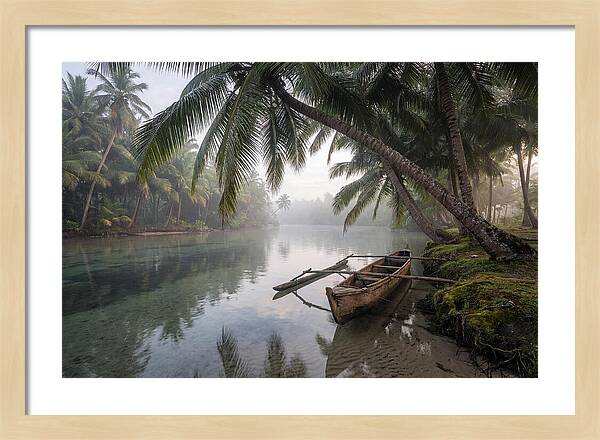 Tropical Serenity At Dawn