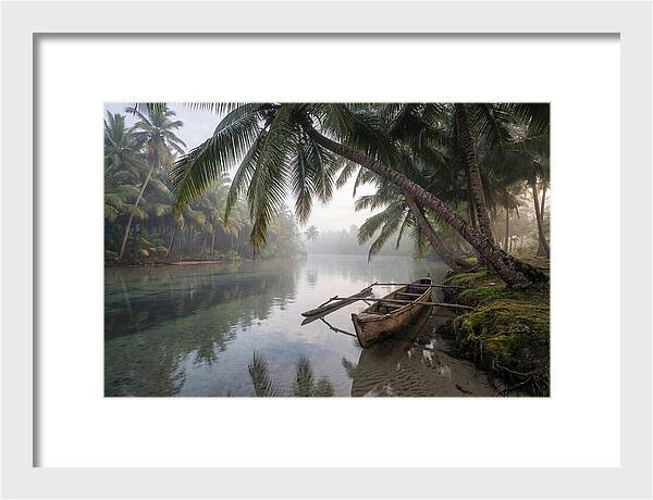Tropical Serenity At Dawn
