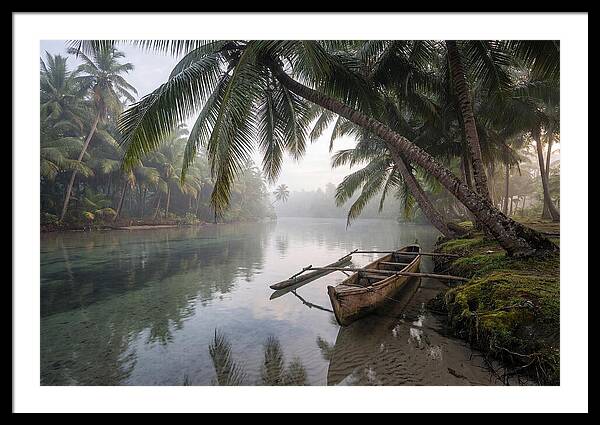 Tropical Serenity At Dawn