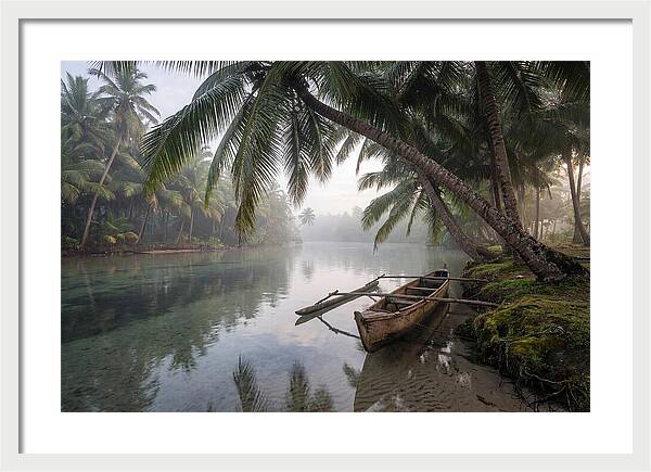 Tropical Serenity At Dawn